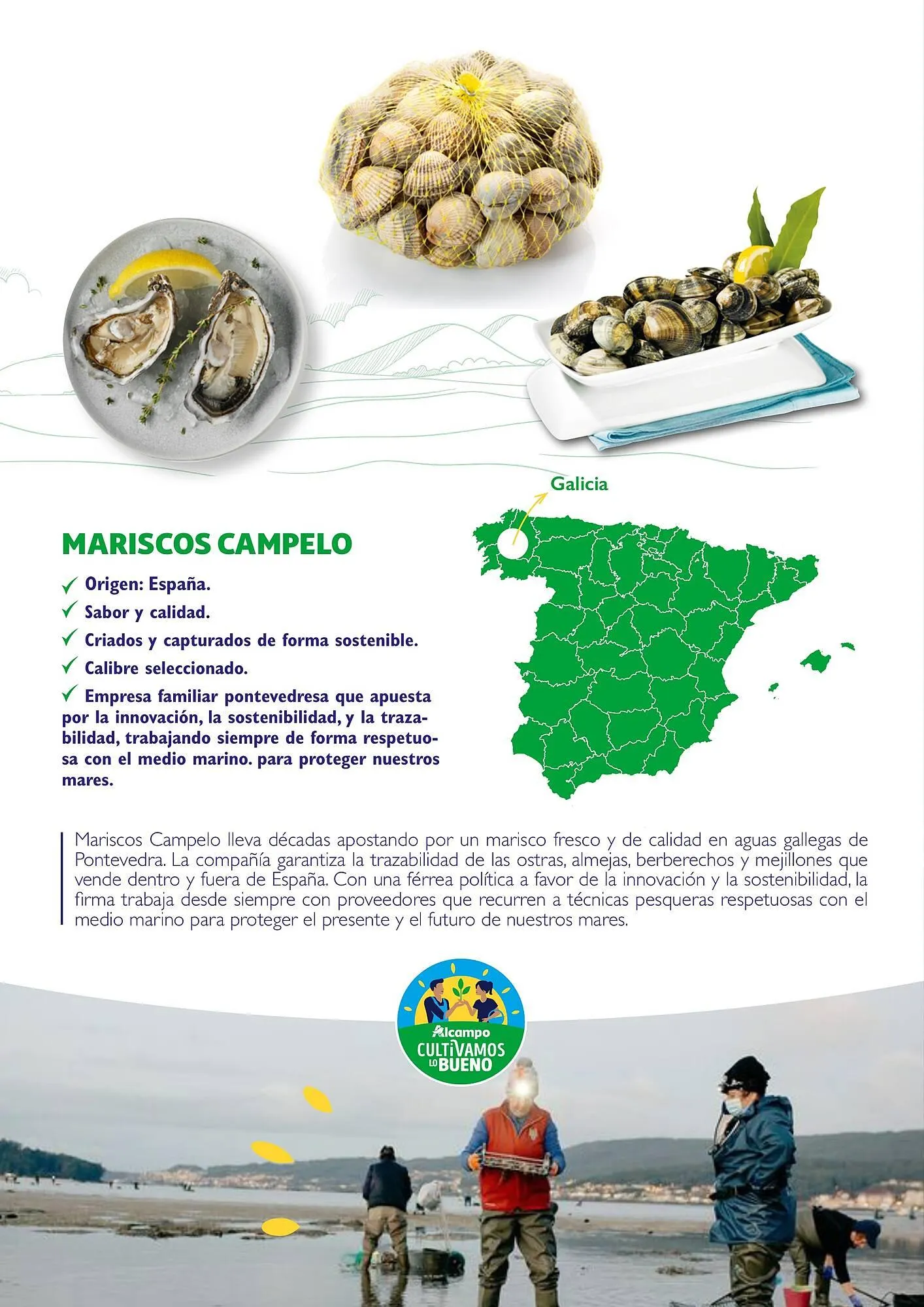 Catálogo de Folleto Alcampo 23 de abril al 31 de diciembre 2025 - Página 48