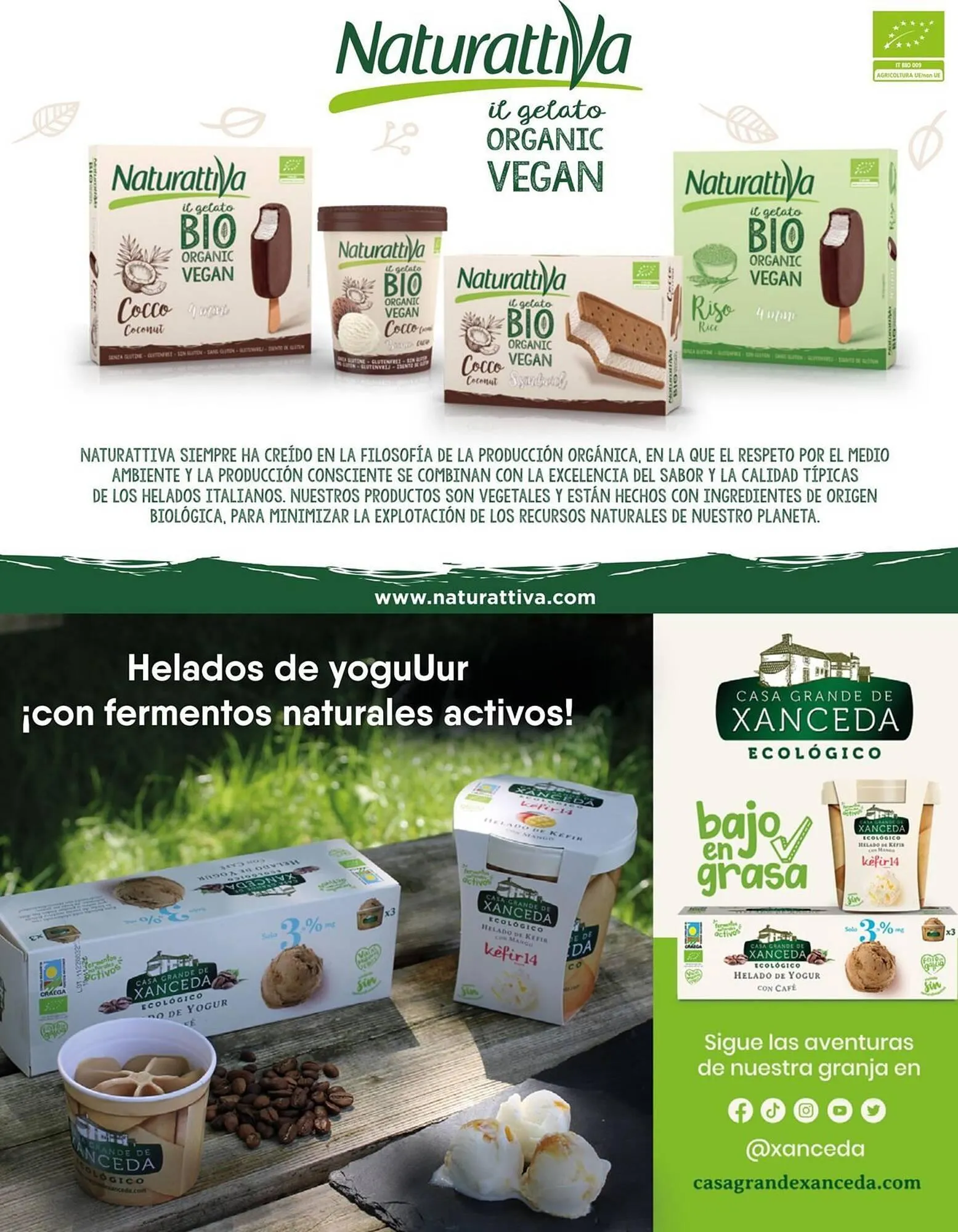 Catálogo de Folleto Veritas 1 de julio al 31 de agosto 2025 - Página 13