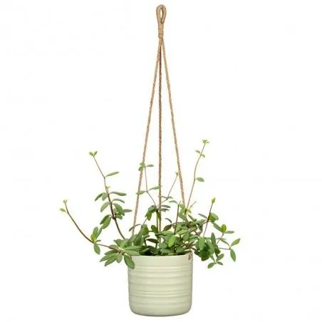 MACETERO DE COLGAR VERDE CLARO