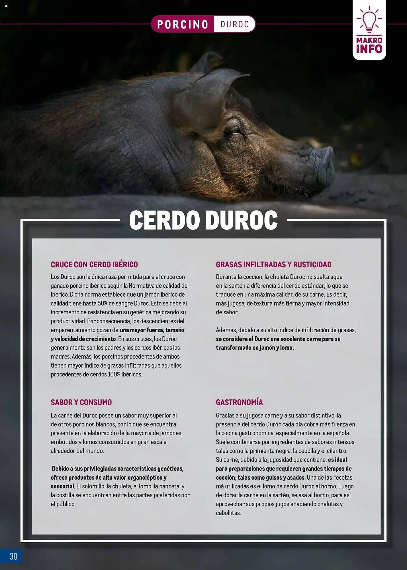 Catálogo de Catálogo Makro 9 de marzo al 5 de abril 2026 - Página 30