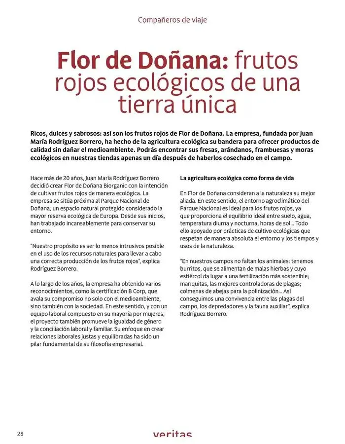 Catálogo de Veritas Abril, 2025 - Castellano 1 de abril al 30 de abril 2025 - Página 28