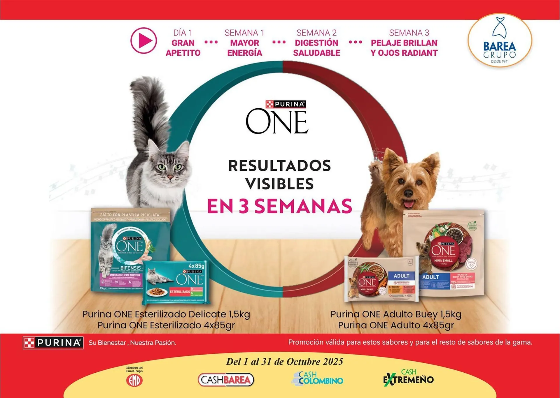 Catálogo de Catálogo Cash Barea 3 de octubre al 31 de octubre 2025 - Página 1