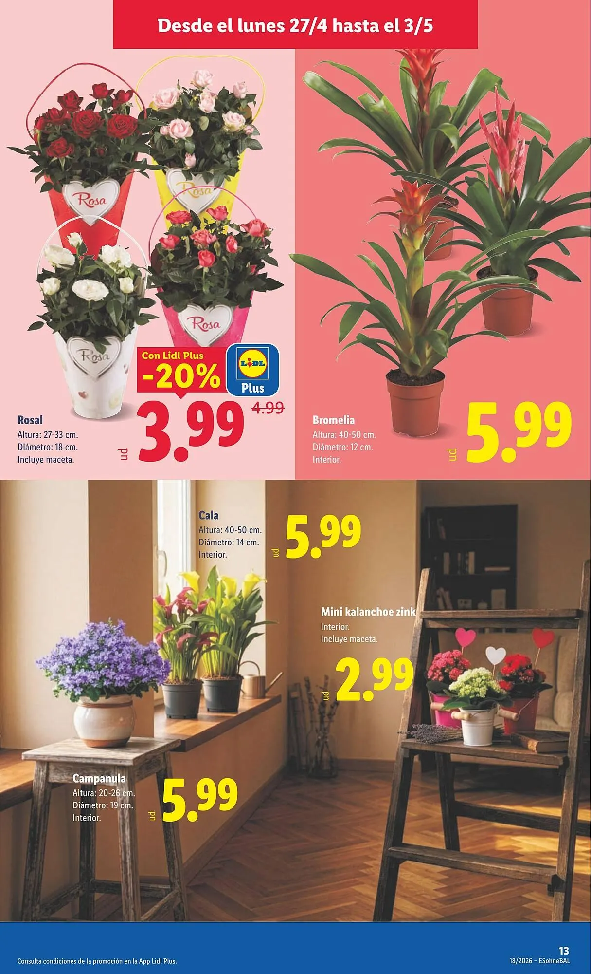 Catálogo de Catálogo Lidl 27 de abril al 3 de mayo 2026 - Página 45