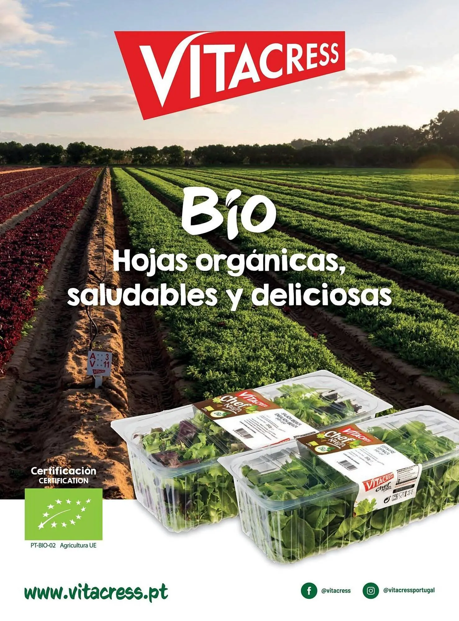 Catálogo de Catálogo Costco 6 de enero al 31 de marzo 2026 - Página 106