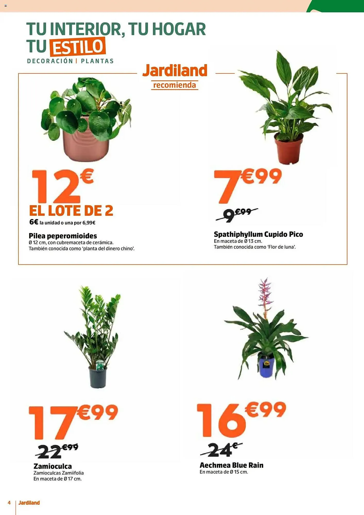 Catálogo de Catálogo Jardiland 15 de enero al 1 de febrero 2026 - Página 4