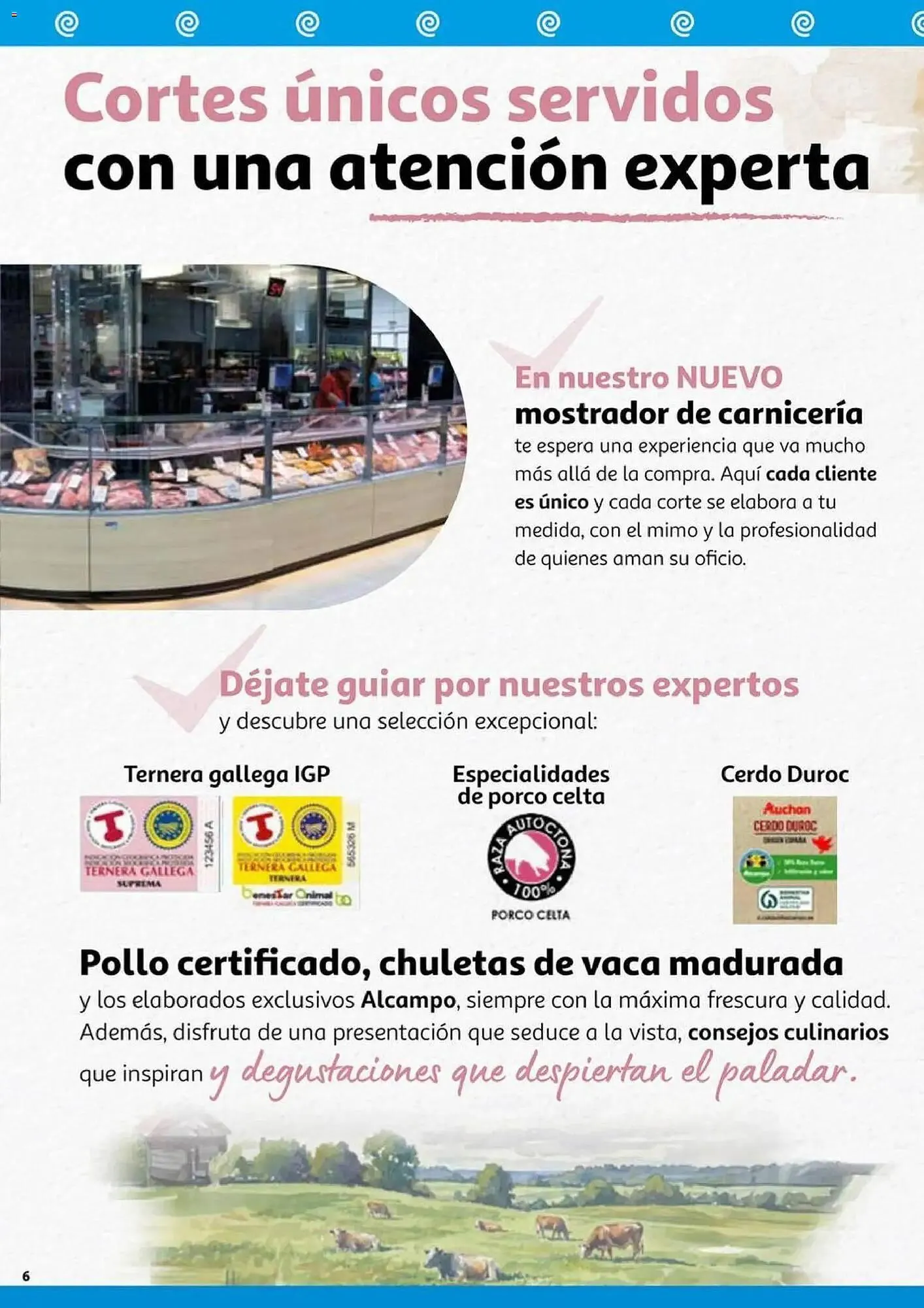 Catálogo de Folleto Alcampo 13 de noviembre al 22 de noviembre 2025 - Página 6