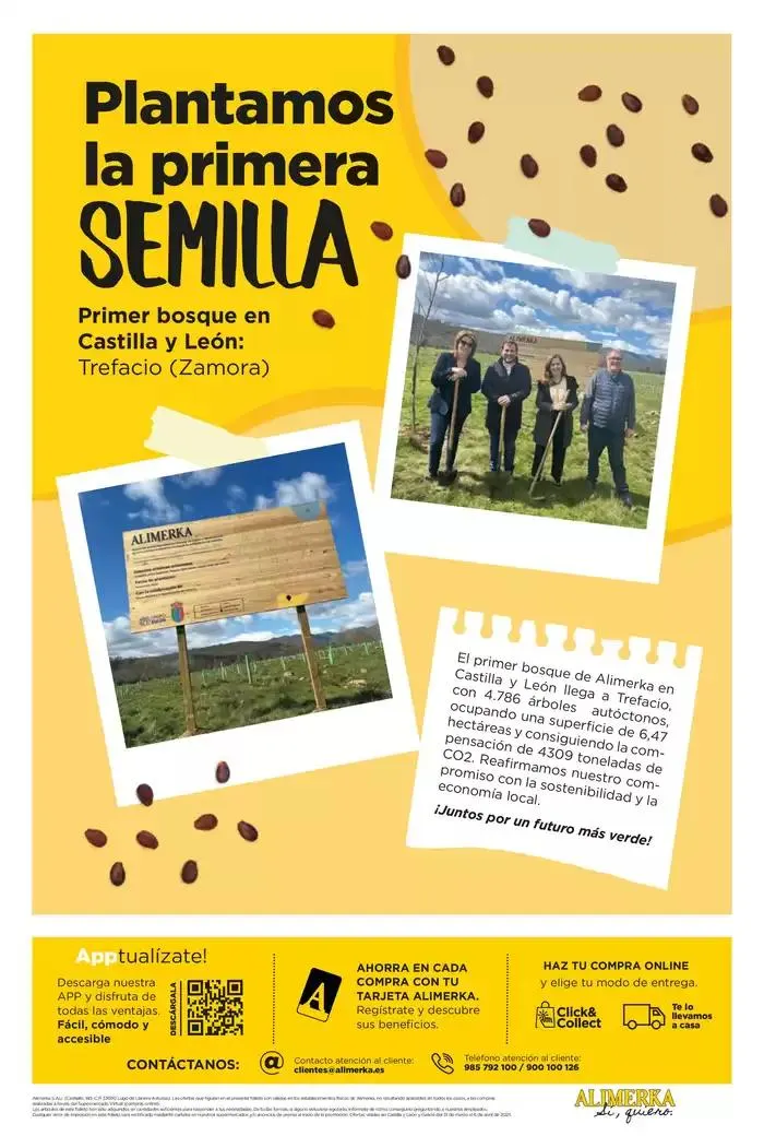 Catálogo de Catálogo Alimerka 31 de marzo al 6 de abril 2025 - Página 12