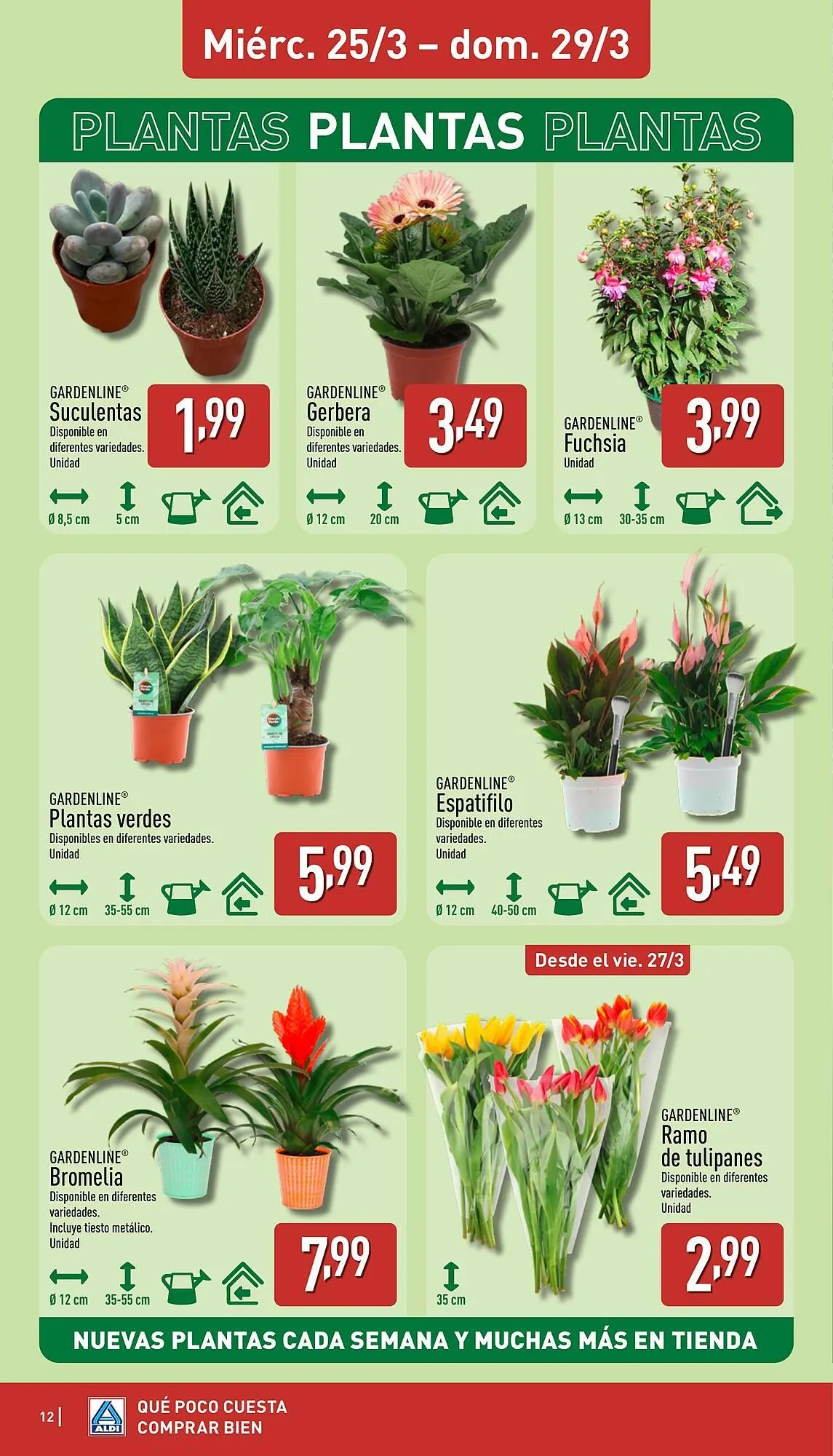 Catálogo de Folleto ALDI 23 de marzo al 29 de marzo 2026 - Página 12