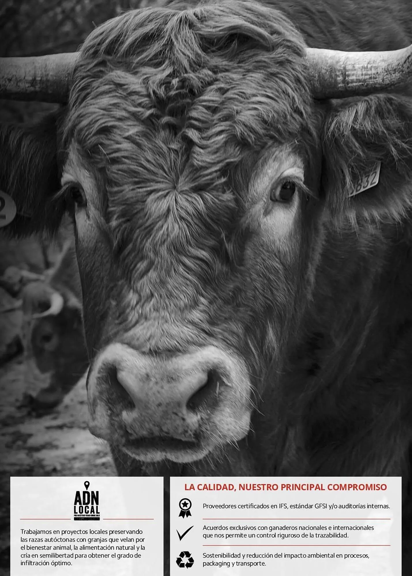 Catálogo de Folleto Makro 15 de mayo al 31 de diciembre 2023 - Página 2