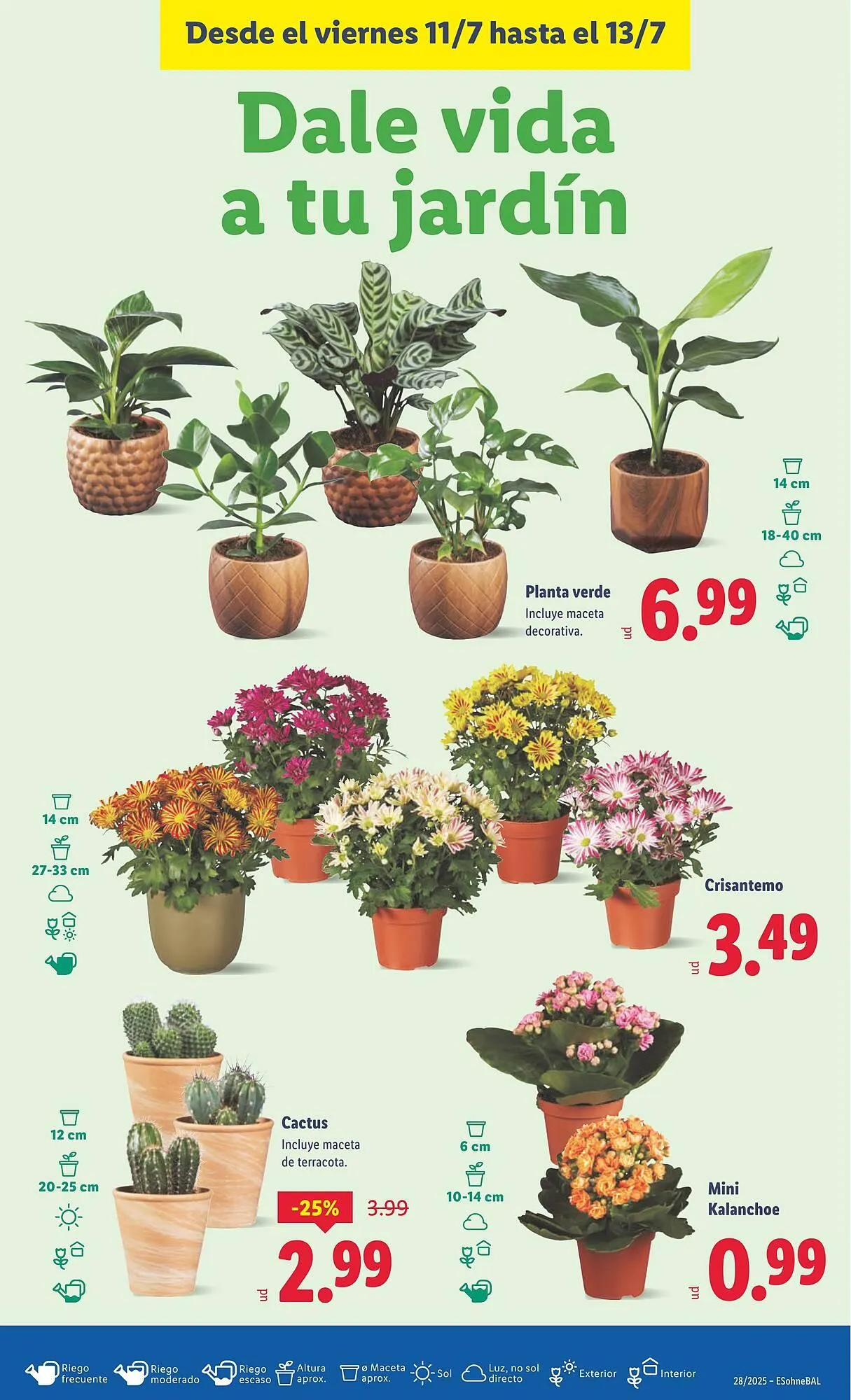 Catálogo de Folleto Lidl 7 de julio al 13 de julio 2025 - Página 13