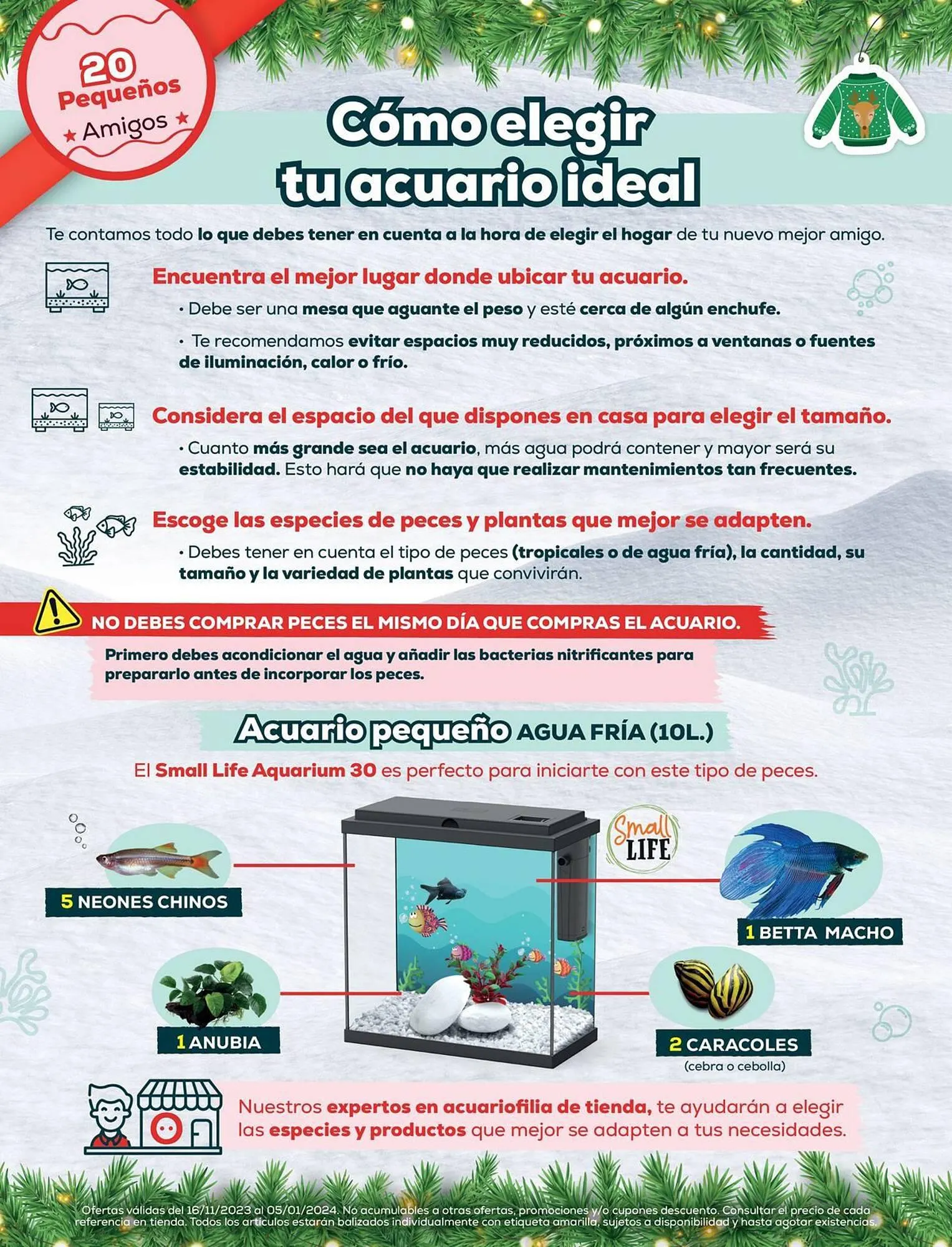 Catálogo de Folleto Kiwoko 23 de noviembre al 5 de enero 2024 - Página 20