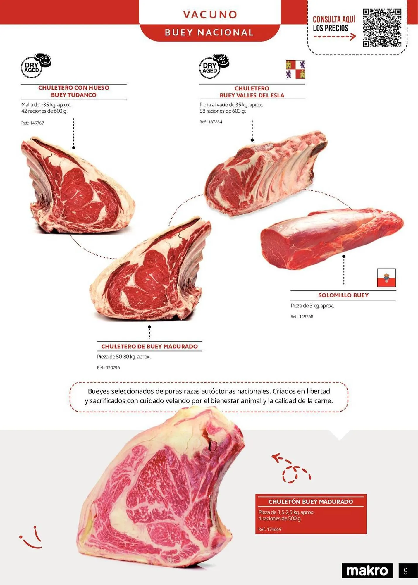 Catálogo de Folleto Makro 15 de mayo al 31 de diciembre 2023 - Página 9