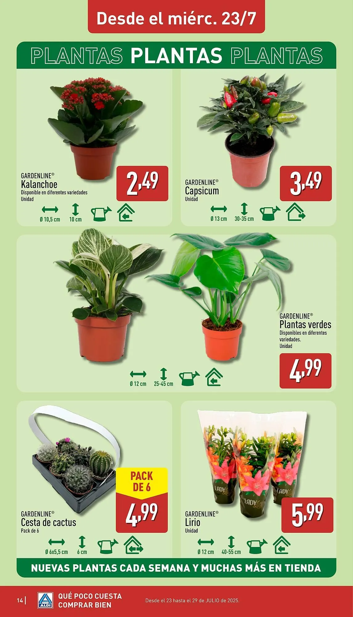 Catálogo de Folleto ALDI 21 de julio al 27 de julio 2025 - Página 14