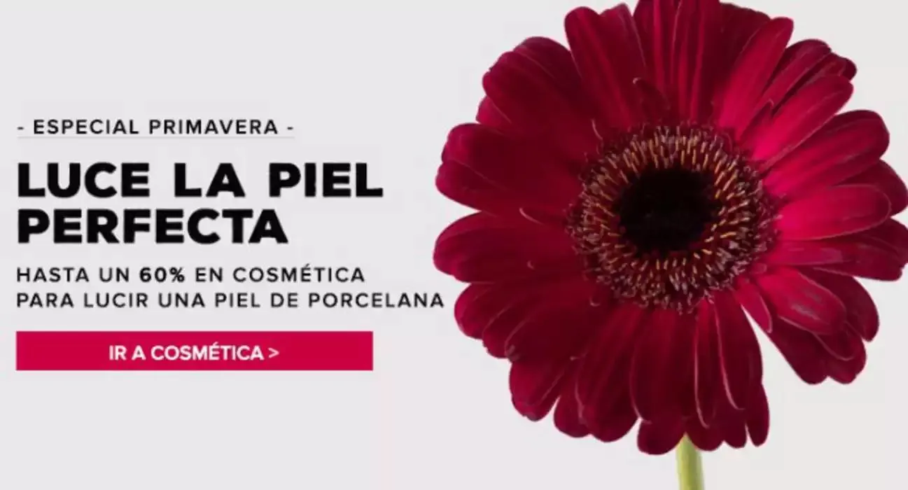 Catálogo de Especial primavera 7 de mayo al 19 de mayo 2025 - Página 2