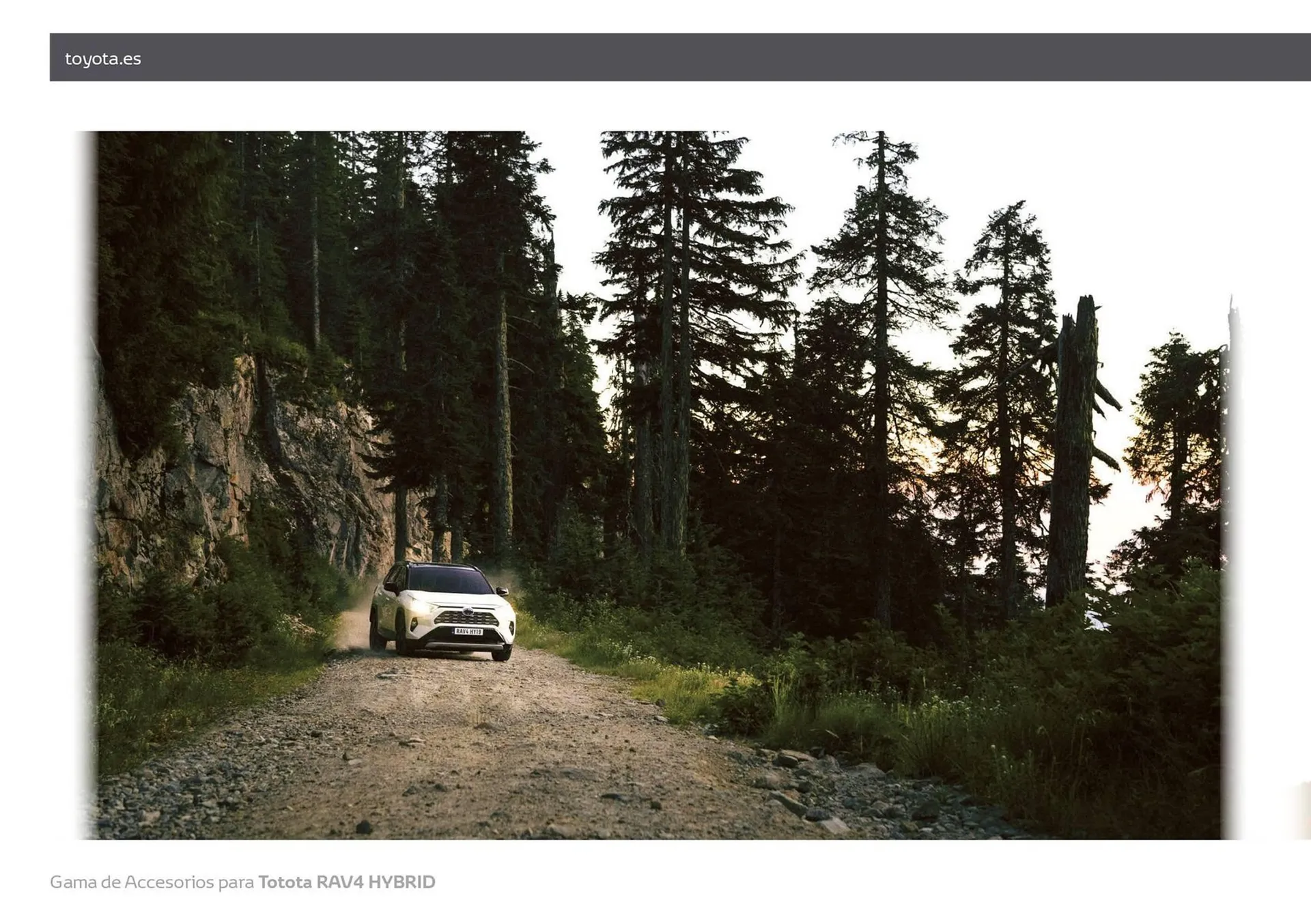 Catálogo de Folleto Toyota 7 de abril al 7 de abril 2025 - Página 14