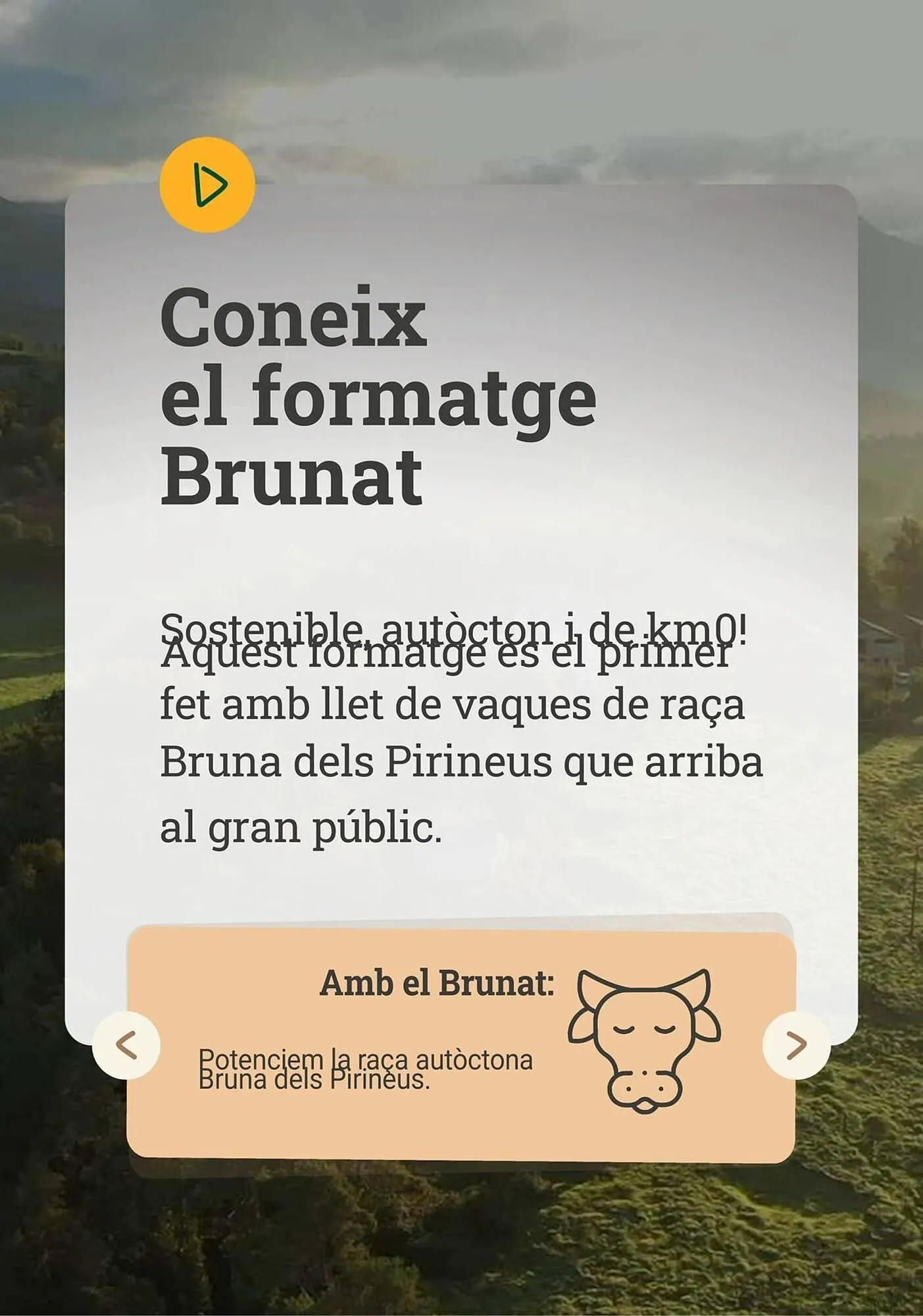 Catálogo de Folleto BonpreuEsclat 3 de octubre al 31 de octubre 2025 - Página 6