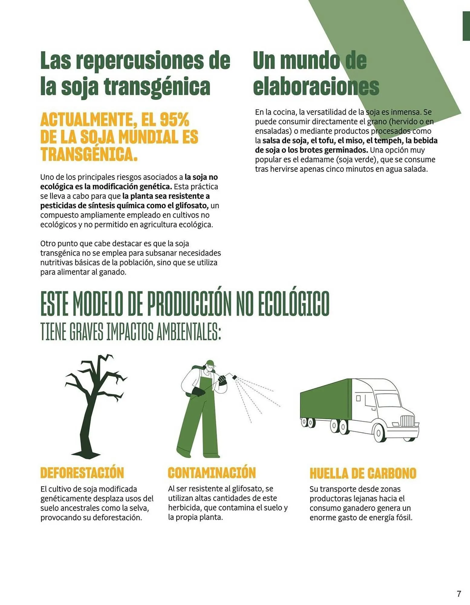 Catálogo de Catálogo Veritas 2 de marzo al 31 de marzo 2026 - Página 7