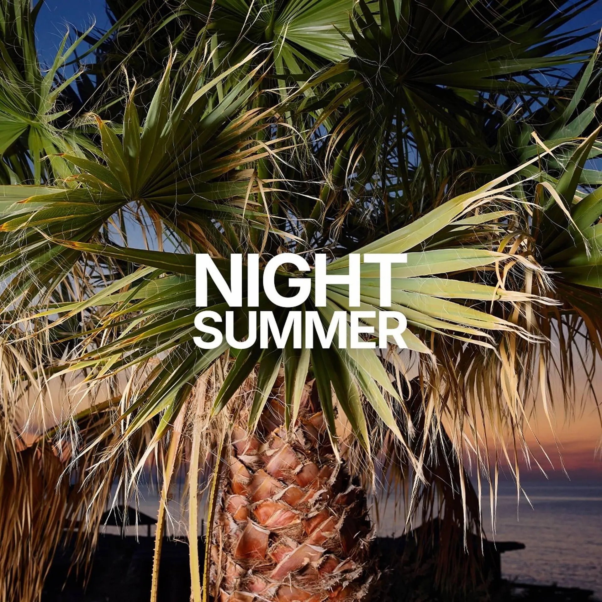 Catálogo de Folleto Terranova 25 de junio al 8 de julio 2025 - Página 1