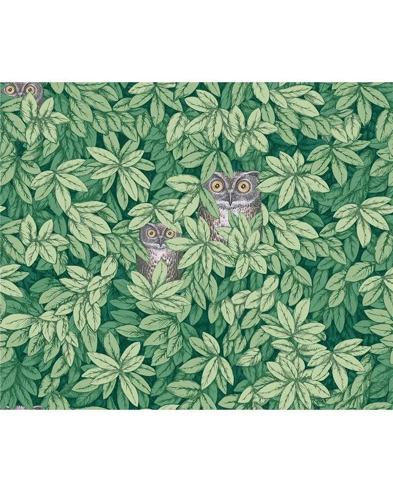 PAPEL PINTADO Foglie e Civette Forest Green 123-11054