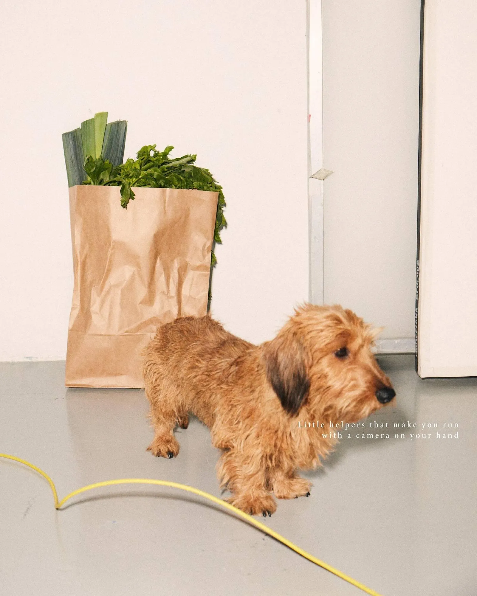 Catálogo de Folleto ese O ese 16 de enero al 29 de enero 2026 - Página 3