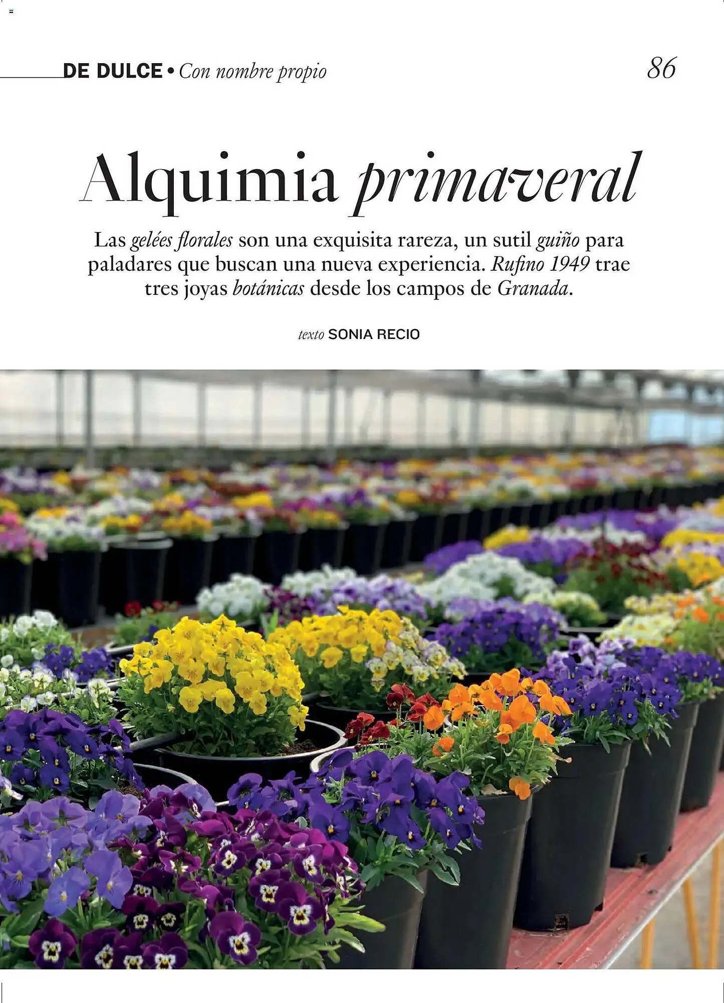 Catálogo de Catálogo El Corte Inglés 1 de abril al 30 de junio 2026 - Página 86