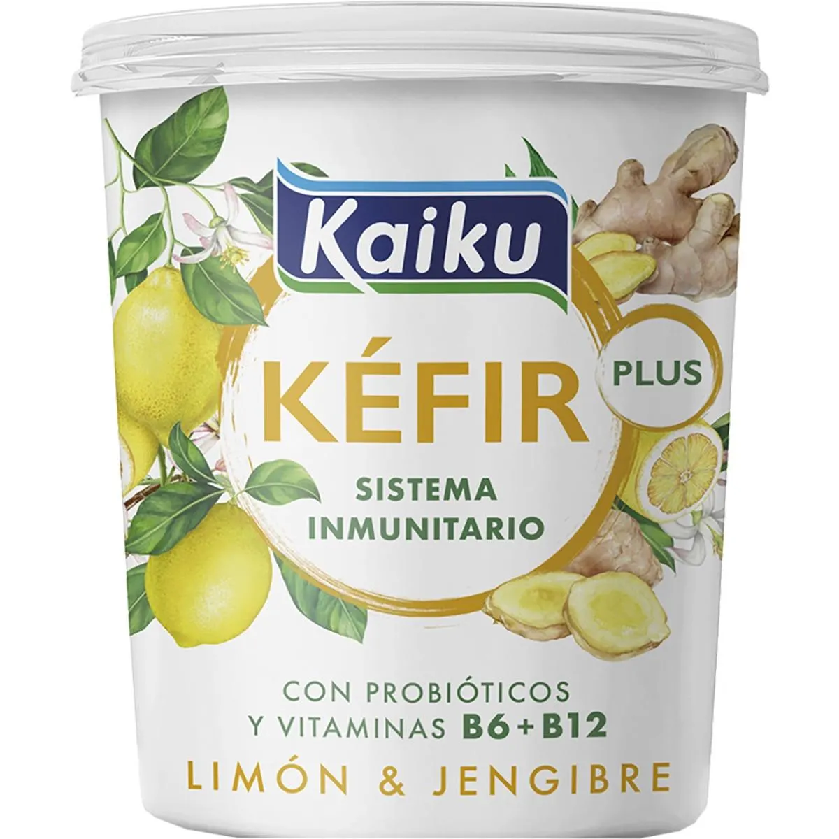 KÉFIR DE LIMÓN Y JENGIBRE 350G