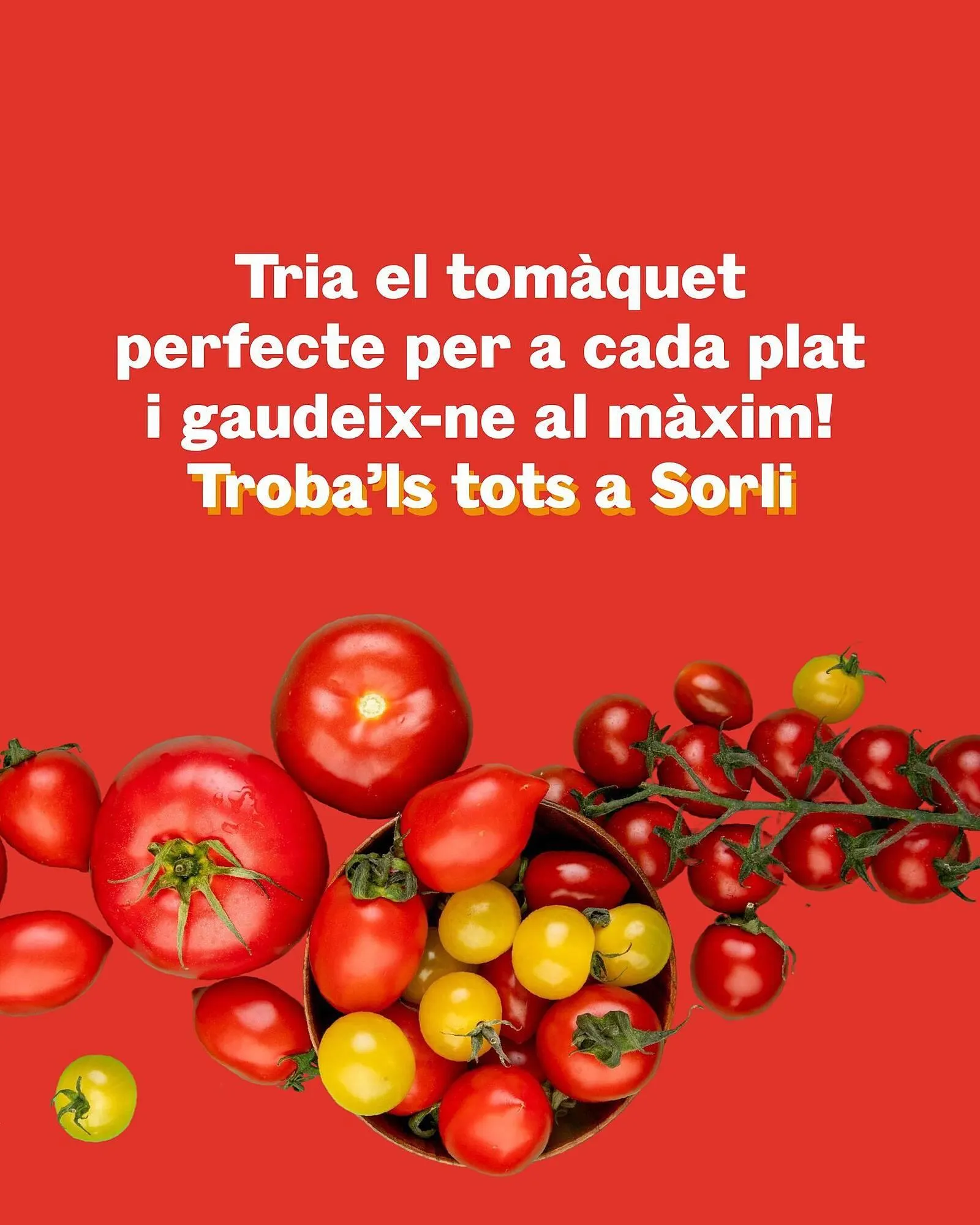 Catálogo de Folleto Sorli 4 de julio al 10 de julio 2025 - Página 5