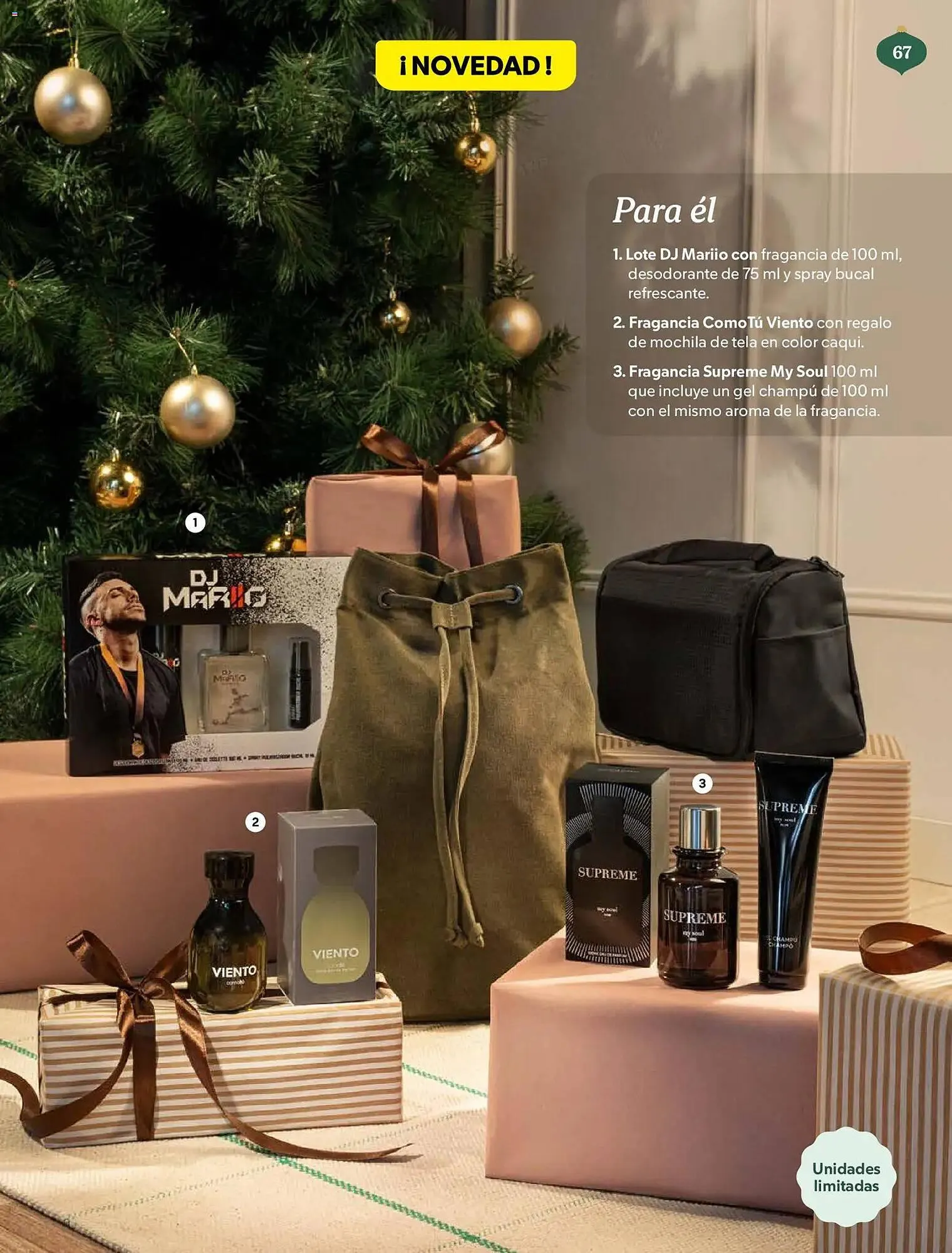 Catálogo de Catálogo Mercadona 2 de diciembre al 6 de enero 2026 - Página 67