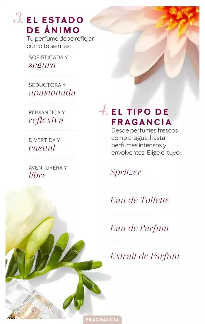 Catálogo de Catálogo Interactivo - Fragancias 11 de febrero al 11 de agosto 2025 - Página 5