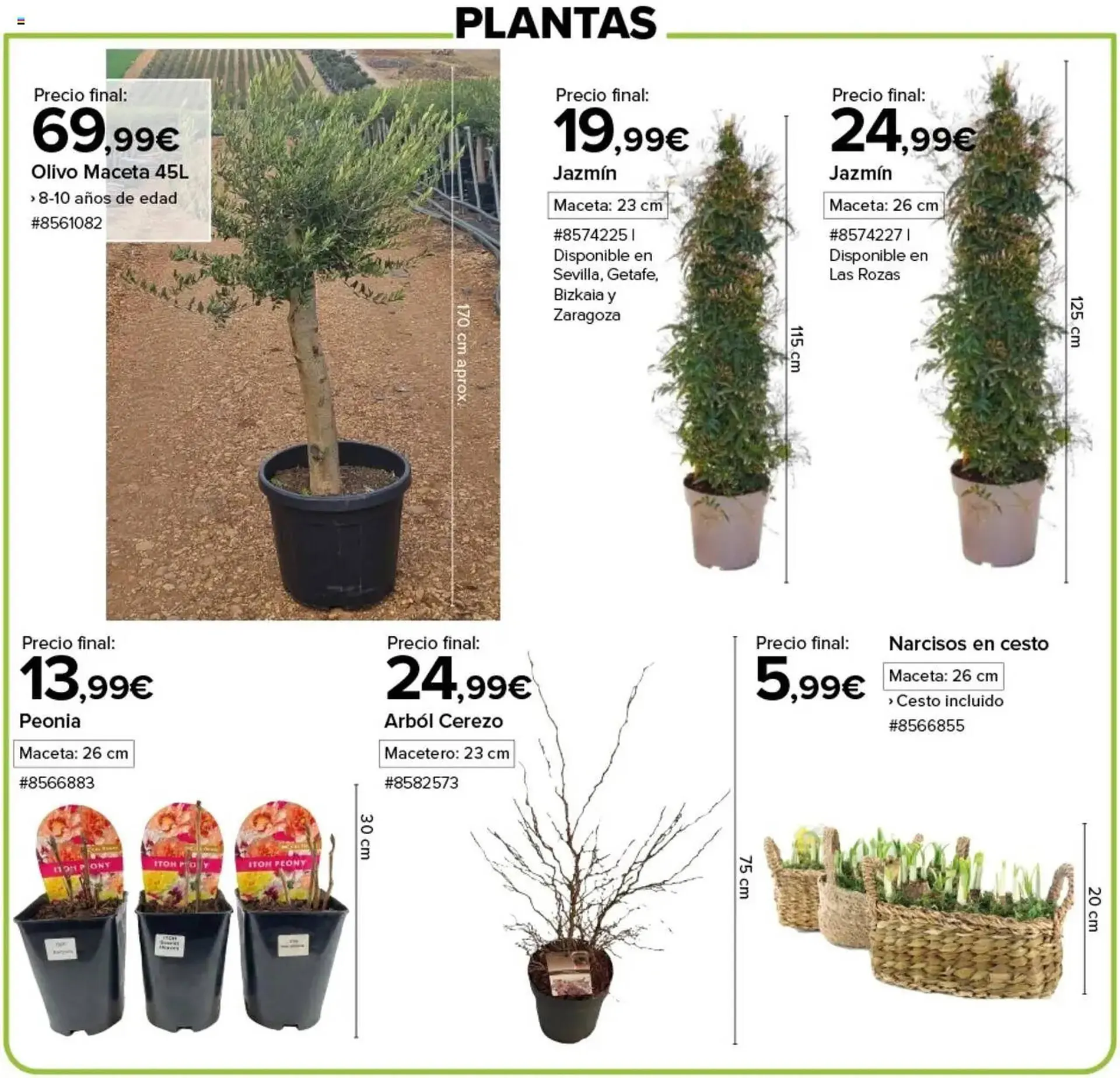 Catálogo de Folleto Costco 6 de marzo al 16 de marzo 2025 - Página 4