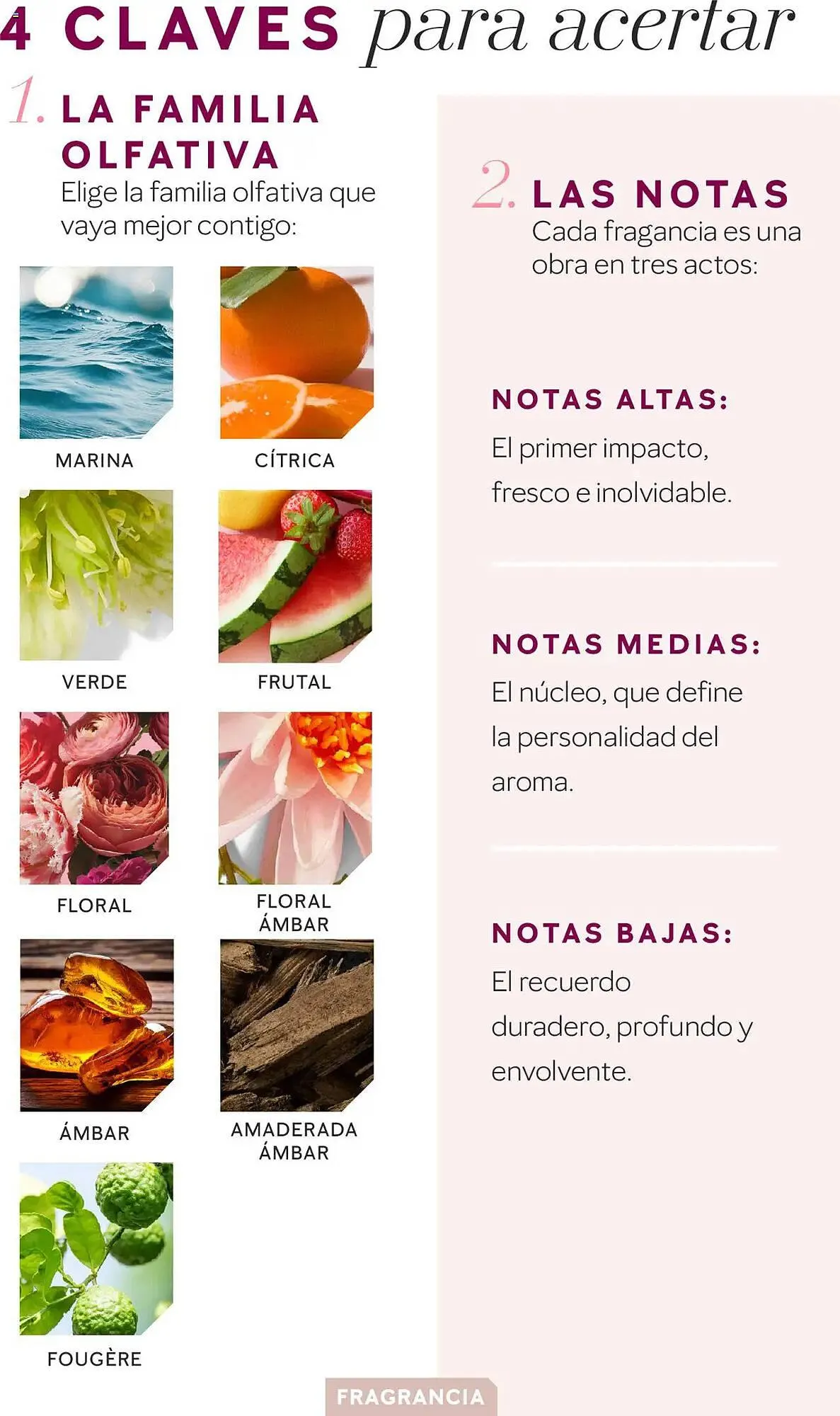 Catálogo de Folleto Mary Kay 11 de febrero al 30 de junio 2025 - Página 4