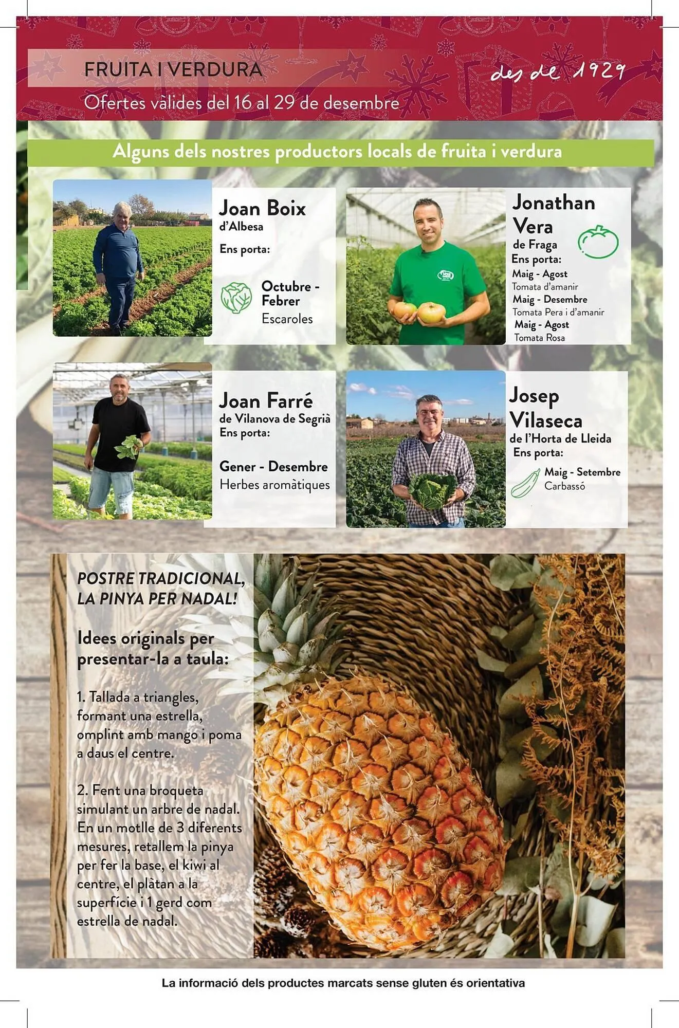 Catálogo de Folleto Plusfresc 16 de diciembre al 29 de diciembre 2025 - Página 3