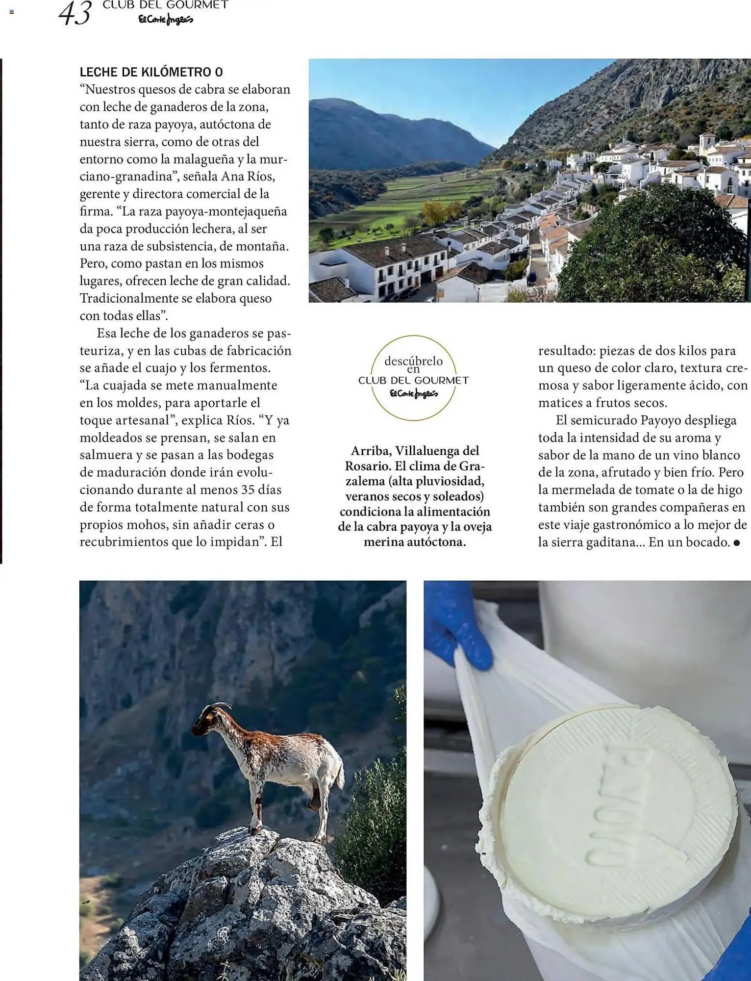 Catálogo de Catálogo El Corte Inglés 1 de abril al 30 de junio 2026 - Página 43