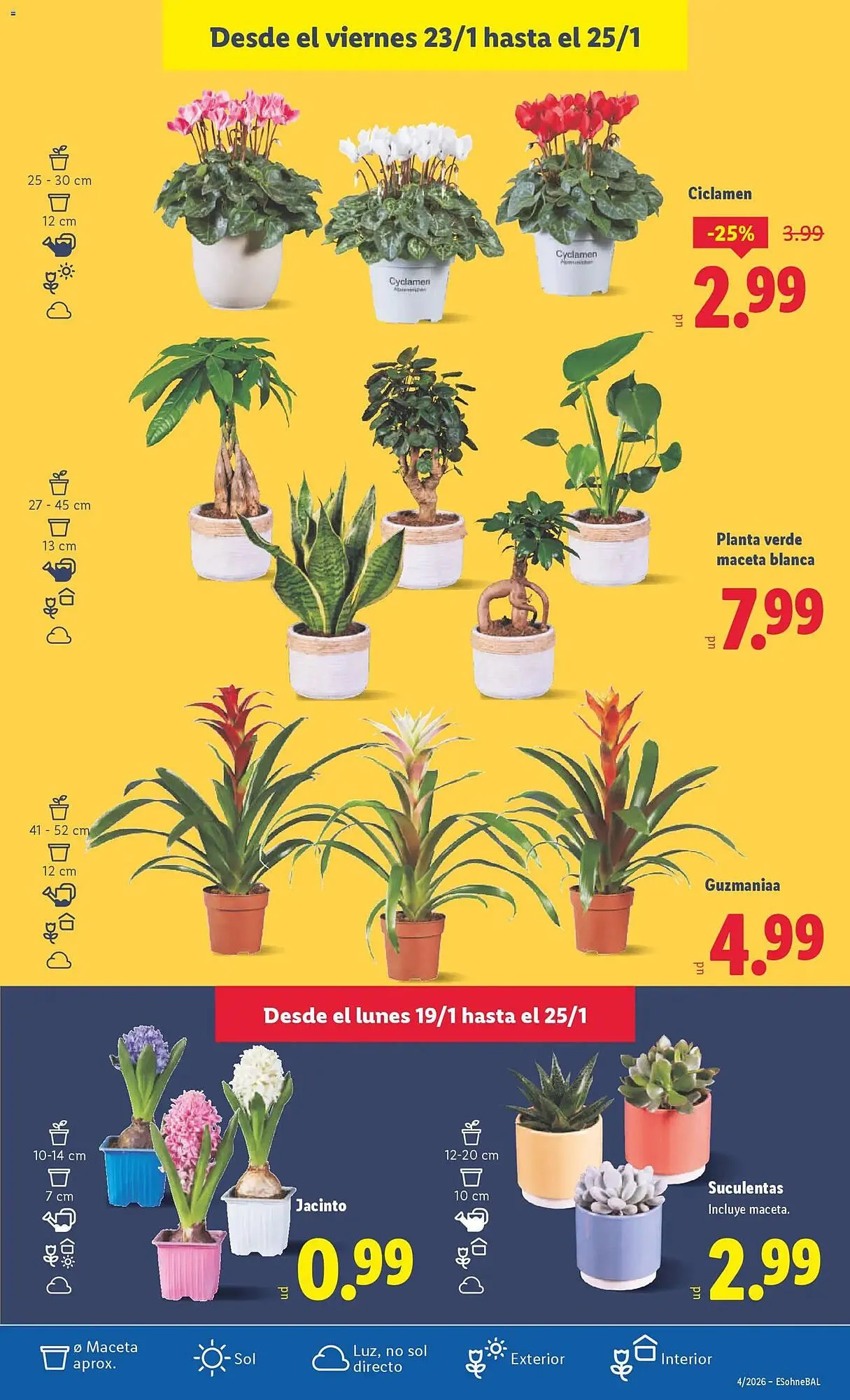 Catálogo de Catálogo Lidl 19 de enero al 25 de enero 2026 - Página 41