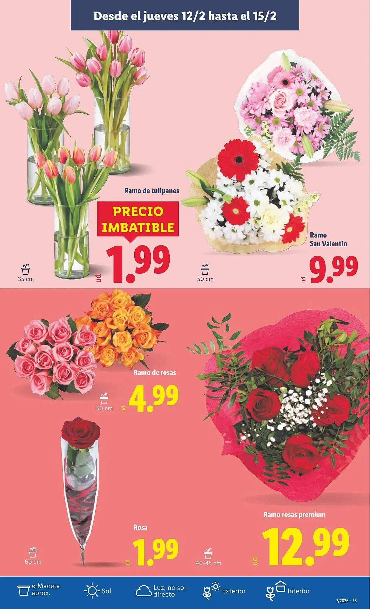 Catálogo de Catálogo Lidl 9 de febrero al 15 de febrero 2026 - Página 39
