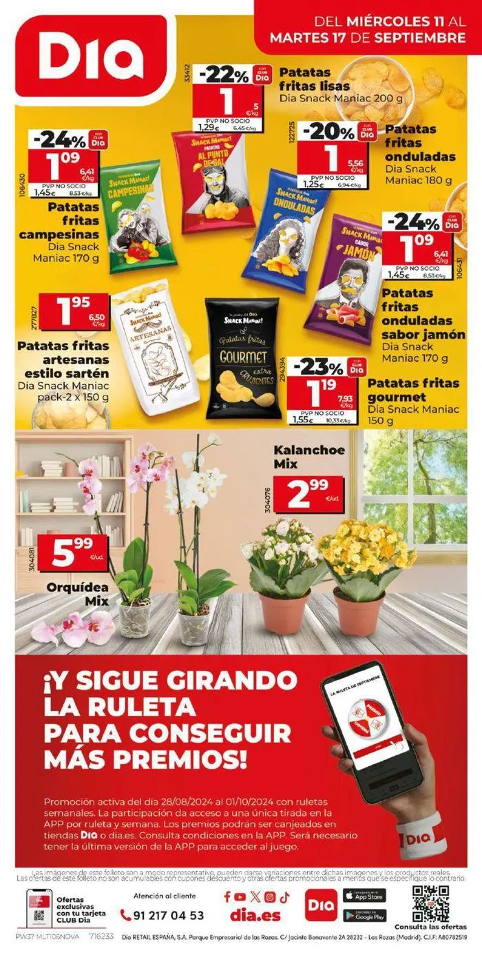 Catálogo de Nueva calidad Día confirmada 11 de septiembre al 17 de septiembre 2024 - Página 12