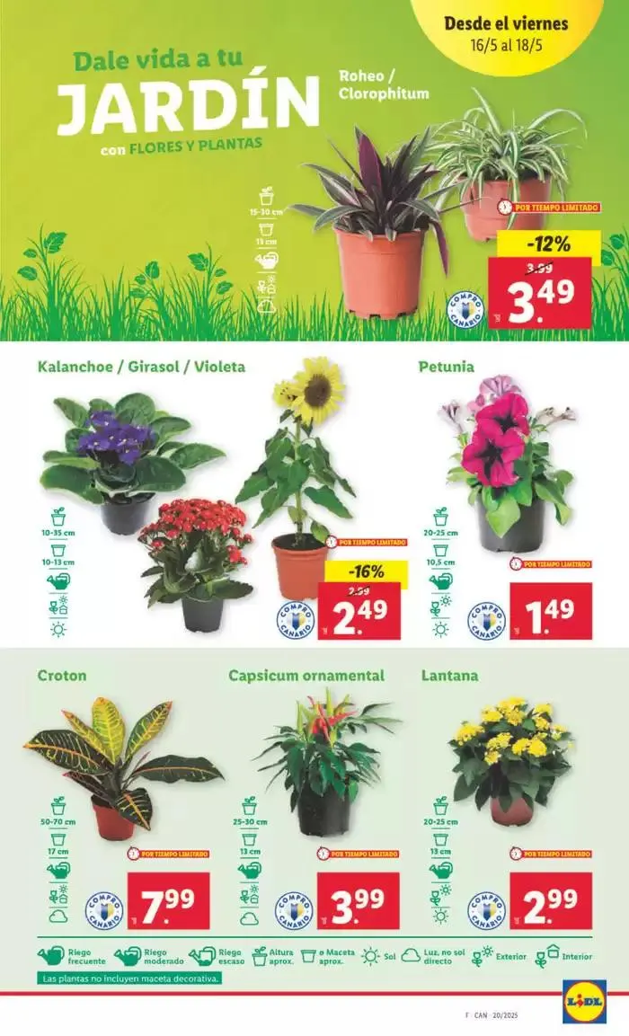 Catálogo de  ¡Bazar Lidl! Ofertas válidas del 12/05 al 18/05 12 de mayo al 18 de mayo 2025 - Página 13