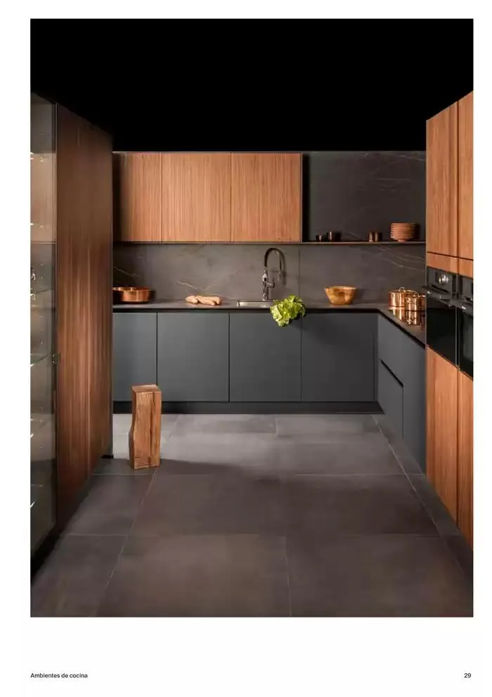Catálogo de Roca Cocinas 9 de enero al 31 de diciembre 2025 - Página 29