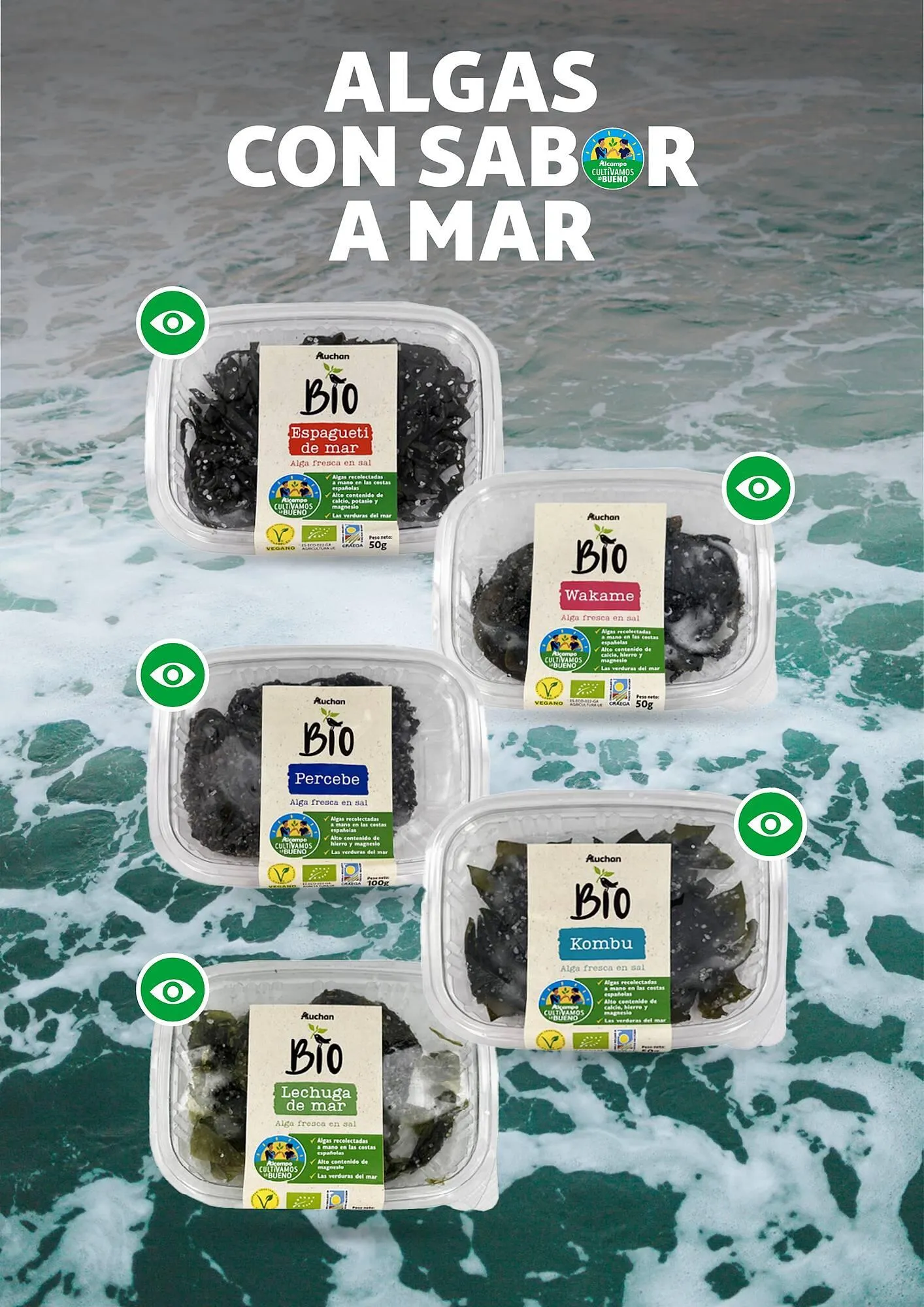 Catálogo de Folleto Alcampo 23 de abril al 31 de diciembre 2025 - Página 51