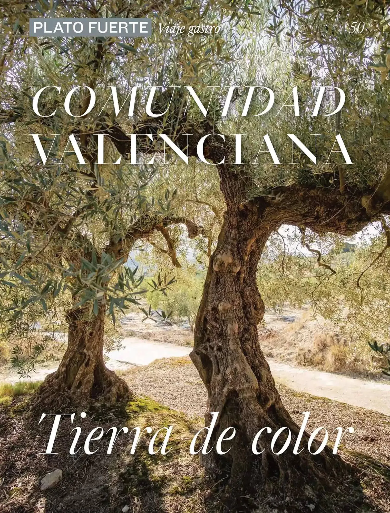 Catálogo de Folleto El Corte Inglés 1 de abril al 30 de junio 2025 - Página 50