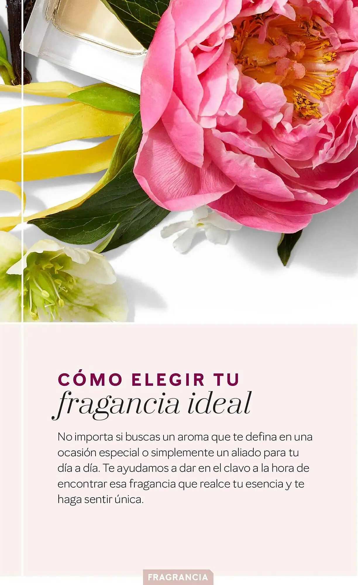 Catálogo de Folleto Mary Kay 11 de febrero al 30 de junio 2025 - Página 3