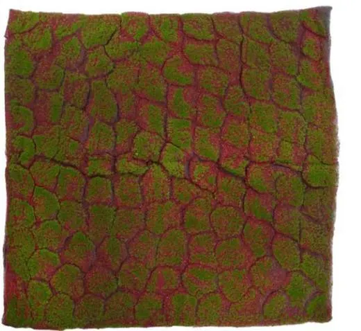 Musgo y tierra Artificial 1.00 X 1.00