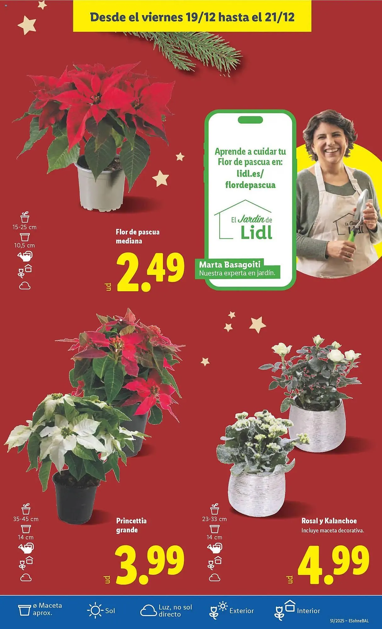 Catálogo de Catálogo Lidl 15 de diciembre al 21 de diciembre 2025 - Página 47