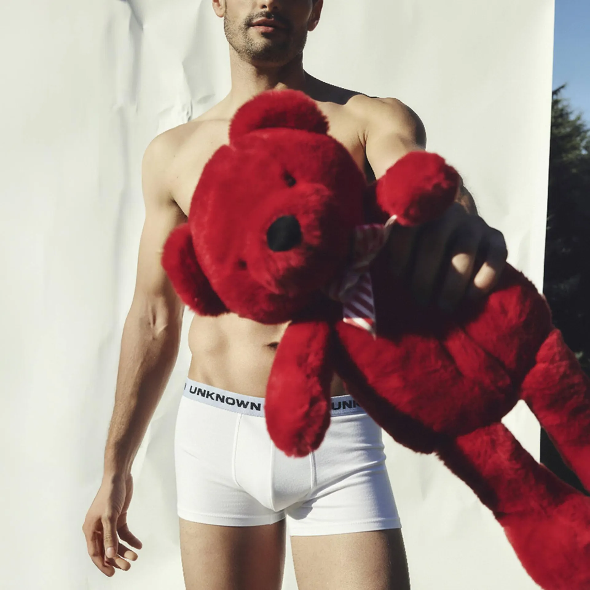 Catálogo de Folleto Terranova 7 de diciembre al 20 de diciembre 2025 - Página 3