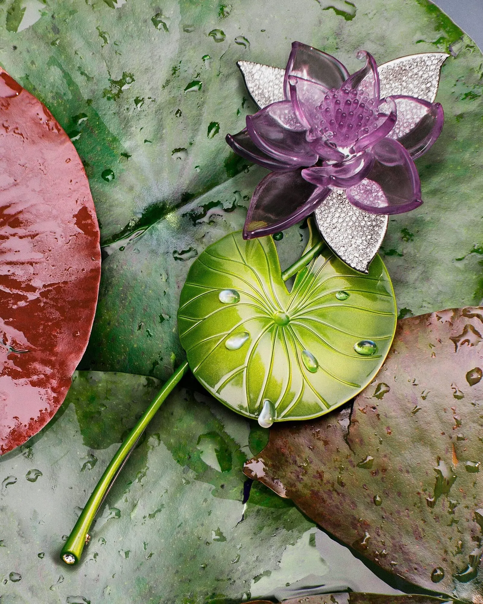 Catálogo de Folleto Dior 8 de marzo al 9 de mayo 2026 - Página 4