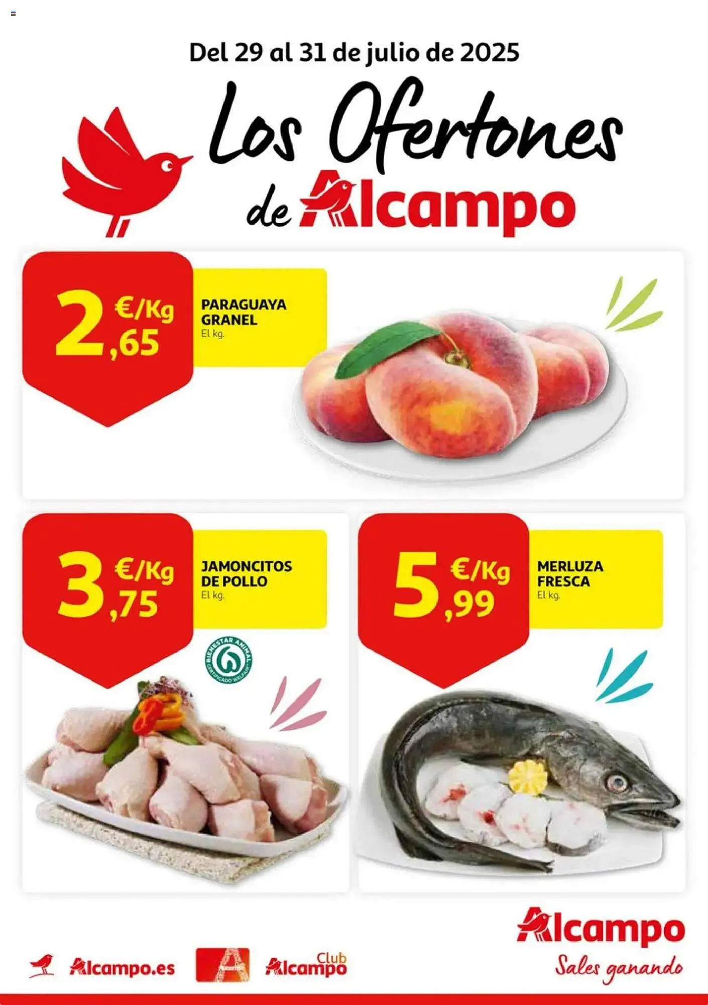 Catálogo de Folleto Alcampo 29 de julio al 31 de julio 2025 - Página 1