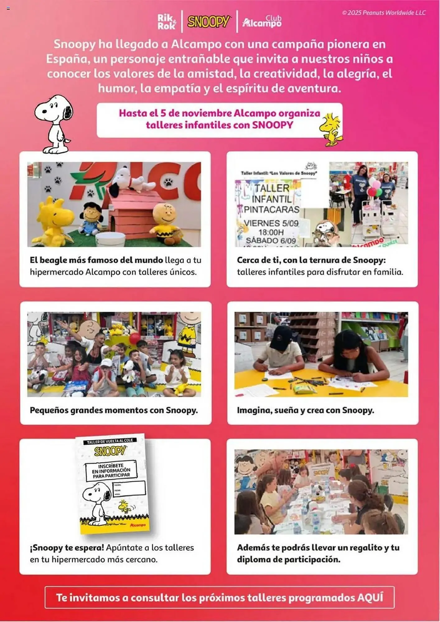 Catálogo de Folleto Alcampo 9 de octubre al 22 de octubre 2025 - Página 25