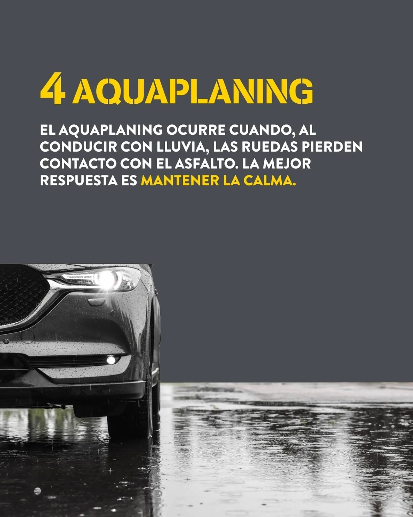 Catálogo de Folleto Rodi 11 de noviembre al 17 de noviembre 2025 - Página 5