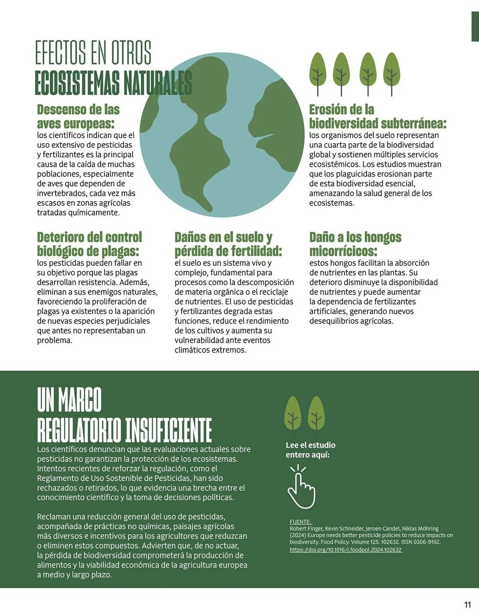 Catálogo de Catálogo Veritas 2 de febrero al 28 de febrero 2026 - Página 11