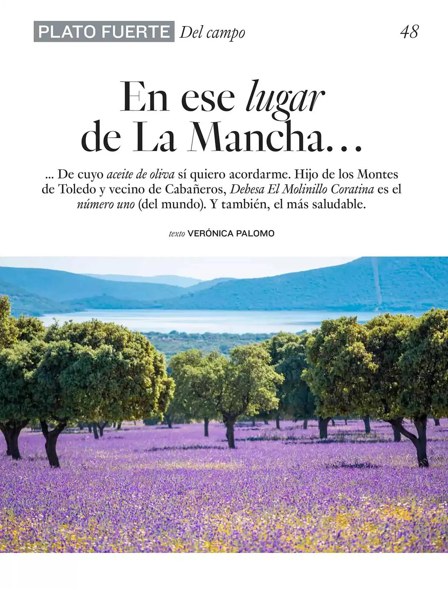 Catálogo de Folleto El Corte Inglés 1 de abril al 30 de junio 2025 - Página 48